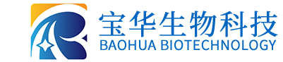 意甲线上官网(中国)官方网站
